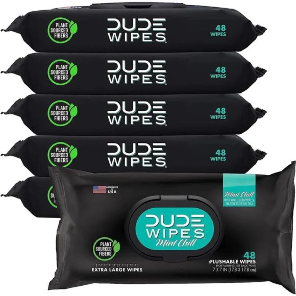 Flushable Wipes - 6 Pack, 288 Wipes - Mint Chill Extra-Large Adult Wet Wipes